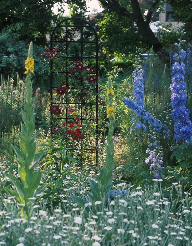 classic-garden-elements-burlington-rankhilfe-metall-schwarz image 7