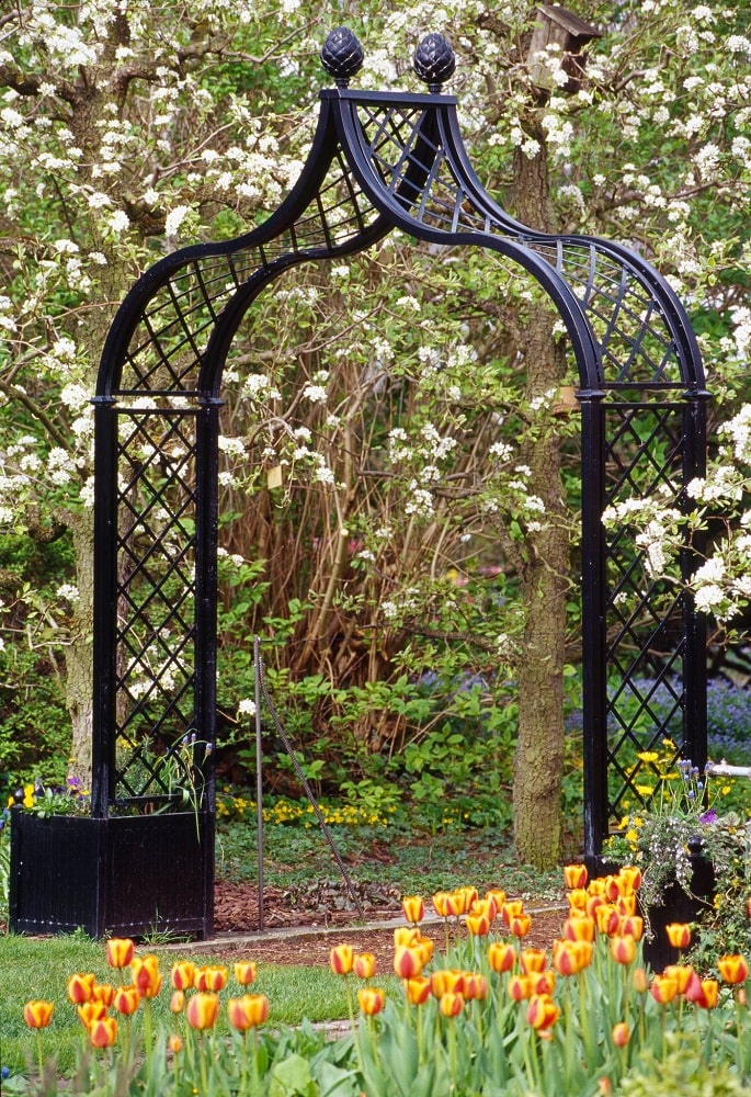 classic-garden-elements-brighton-rosenbogen-mit-versailler-k-beln image 6
