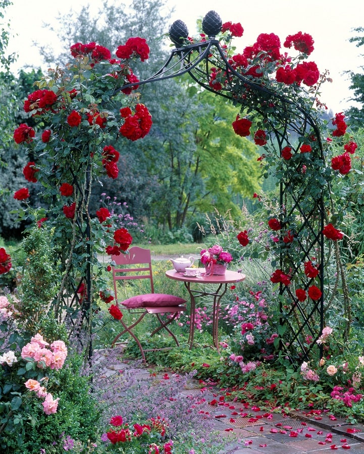 classic-garden-elements-kiftsgate-rosenbogen-metall-schwarz image 4