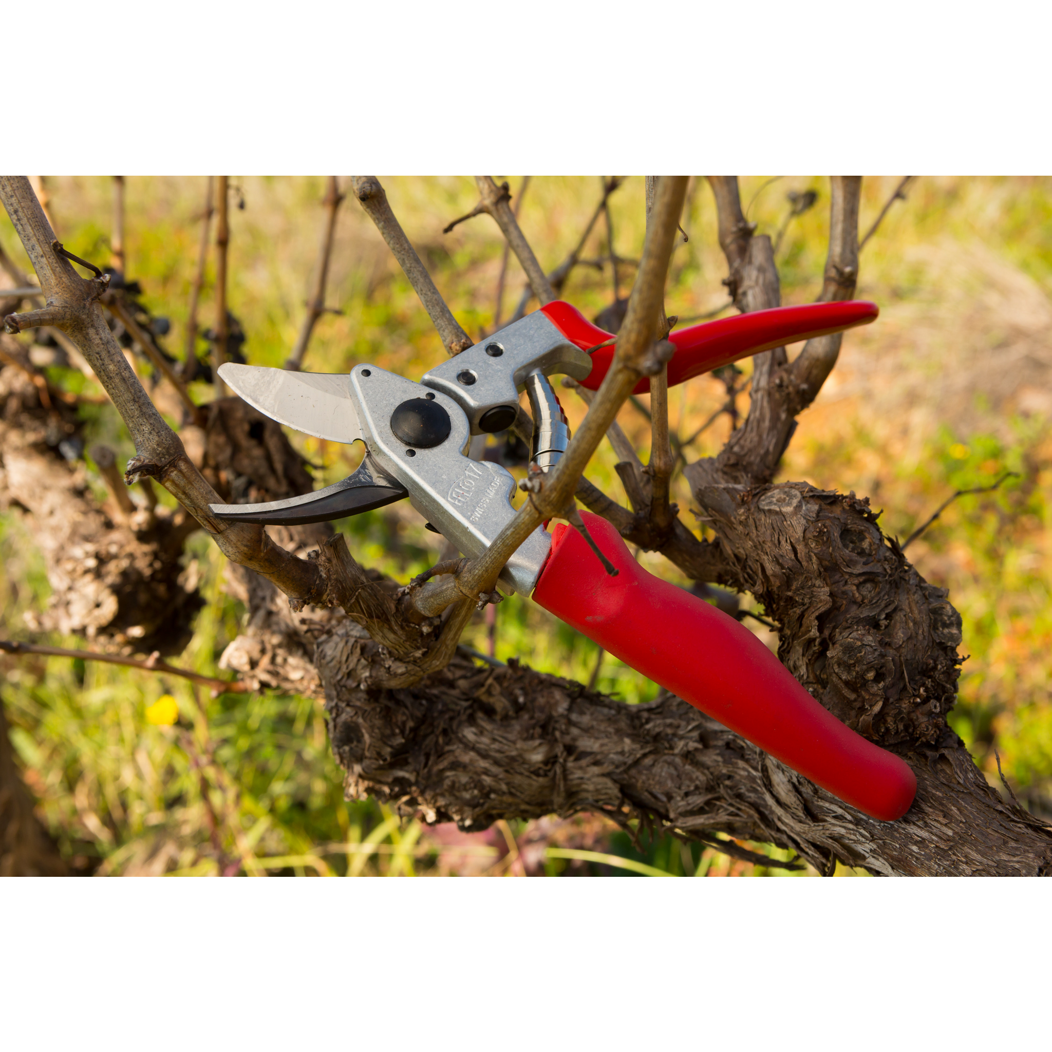 felco-17-gartenschere-linksh-nder-kleine-h-nde image 3