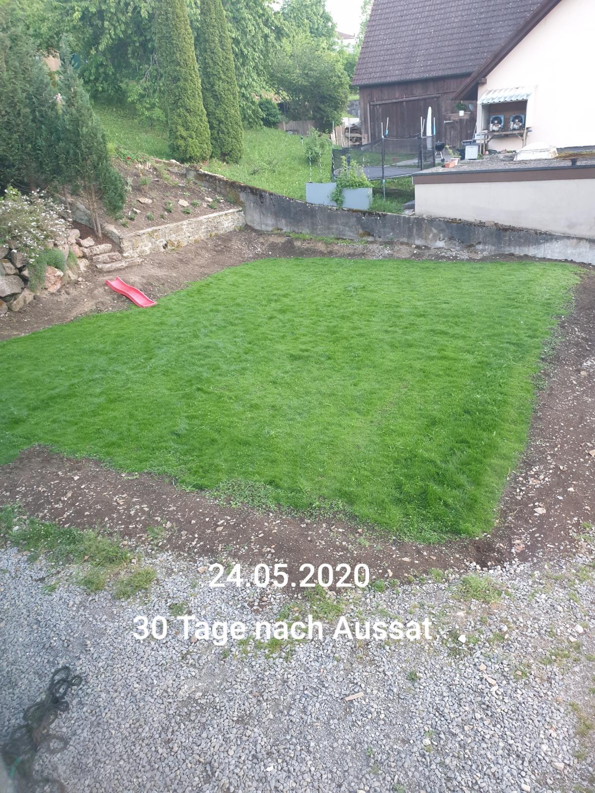 Einfach top