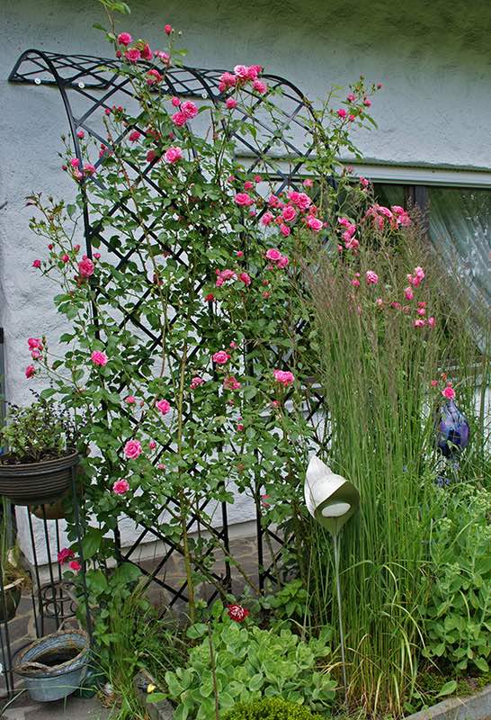 classic-garden-elements-bagatelle-rosenhalbbogen-metall-schwarz-150x260 image 7