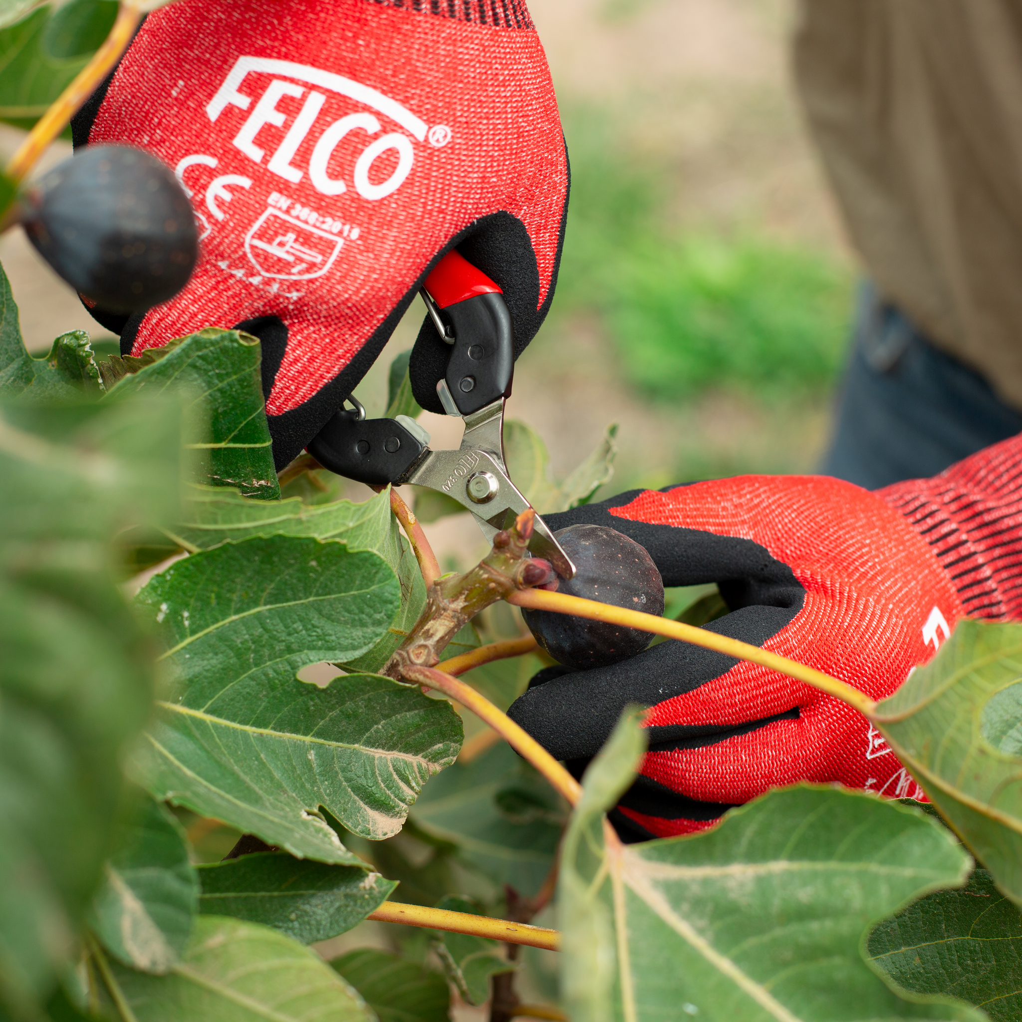 felco-320-ernteschere-leseschere-f-r-rechts-und-linksh-nder image 4