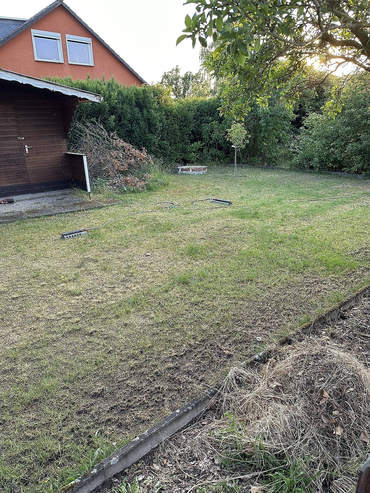 Ordentlich