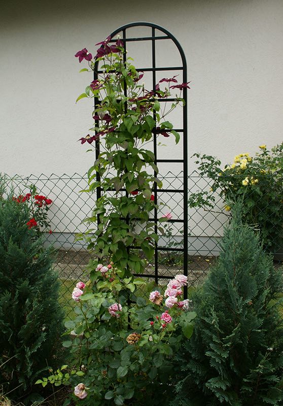 classic-garden-elements-burlington-rankhilfe-metall-schwarz image 8