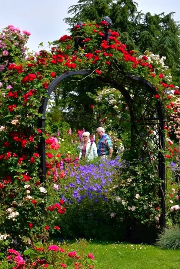 classic-garden-elements-rosenbogen-brighton-metall-schwarz image 1