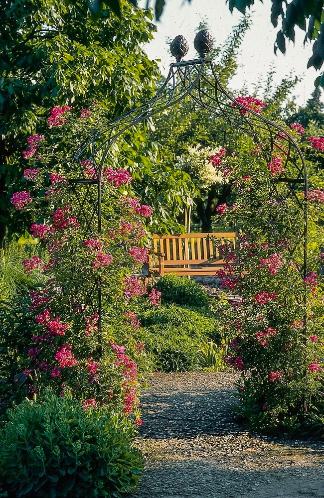 classic-garden-elements-kiftsgate-rosenbogen-metall-schwarz image 1