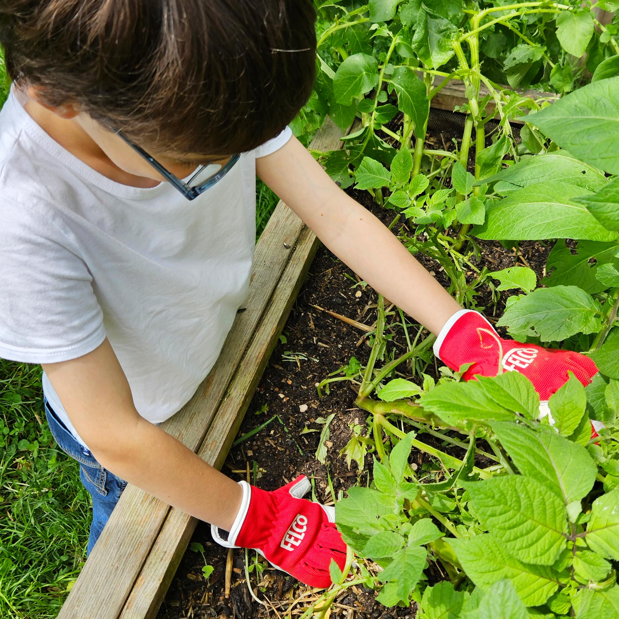 felco-720-kids-kinder-gartenhandschuhe-3-gr-en image 4