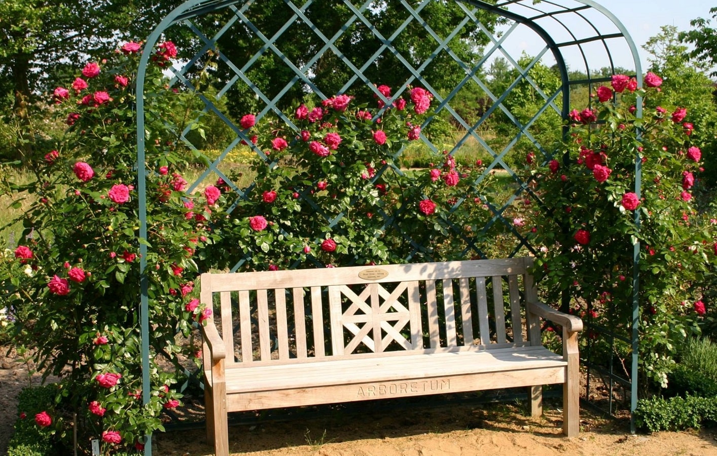 classic-garden-elements-viktorianische-rosenlaube-metall-schwarz-pergola image 8