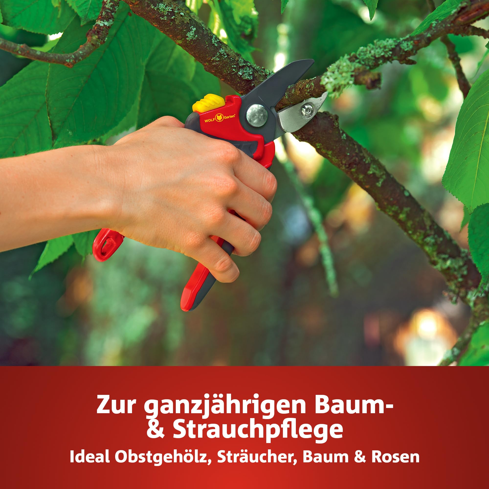 wolf-garten-rs-4000-amboss-gartenschere-premium-plus-25-mm image 2