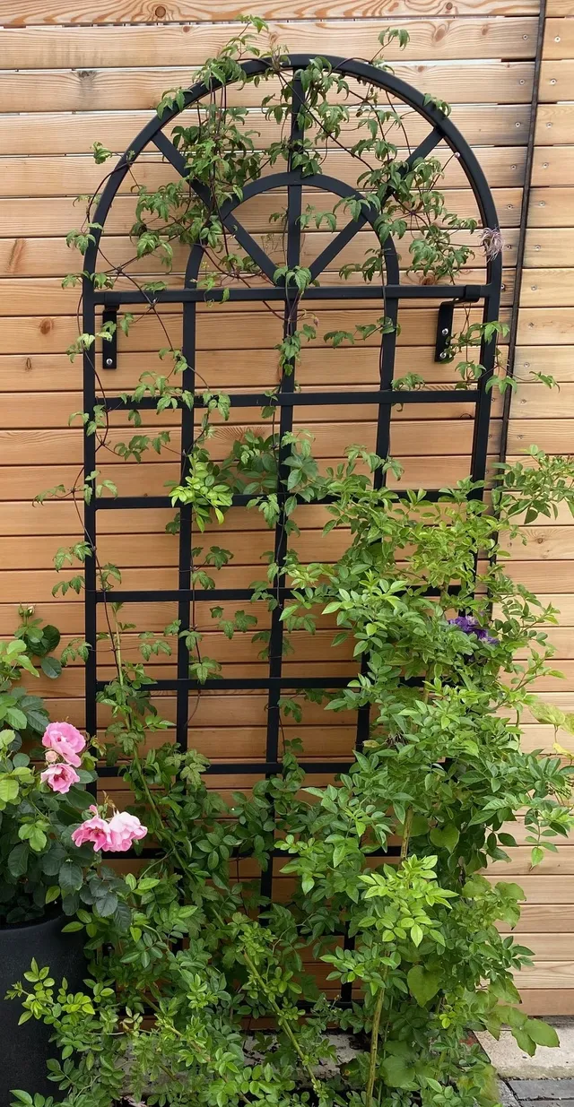 classic-garden-elements-clematis-spalier-wand-rankgitter-173cm-schwarz image 1