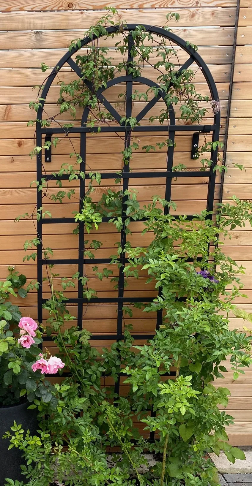 classic-garden-elements-clematis-spalier-wand-rankgitter-173cm-schwarz image 1
