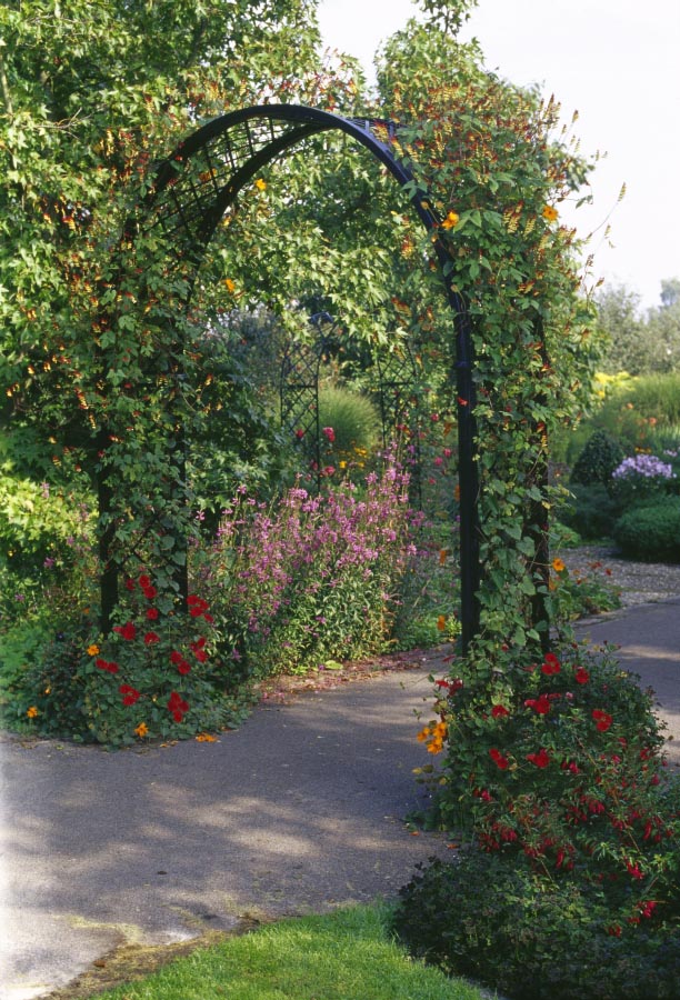 classic-garden-elements-portofino-rosenbogen-metall-152-cm image 4