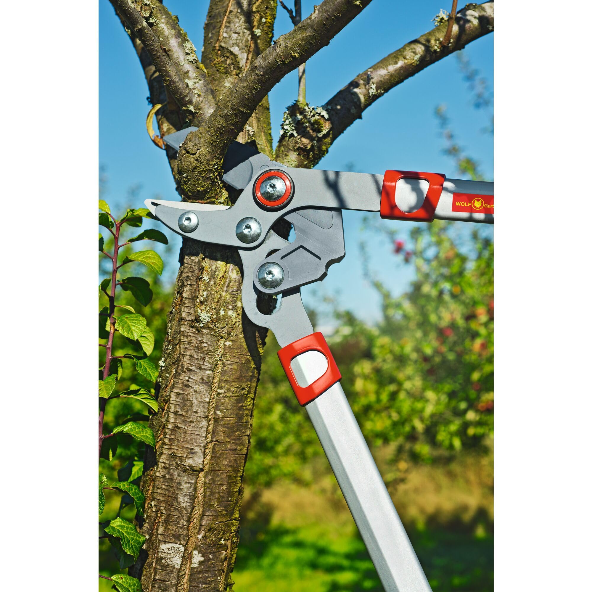 wolf-garten-power-cut-rs-650-amboss-astschere-650-mm image 6