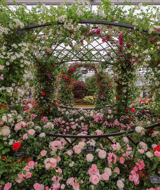 classic-garden-elements-buscot-park-hochzeitspavillon-metall-schwarz image 1