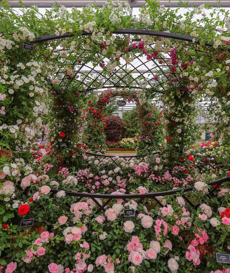 classic-garden-elements-buscot-park-hochzeitspavillon-metall-schwarz image 1