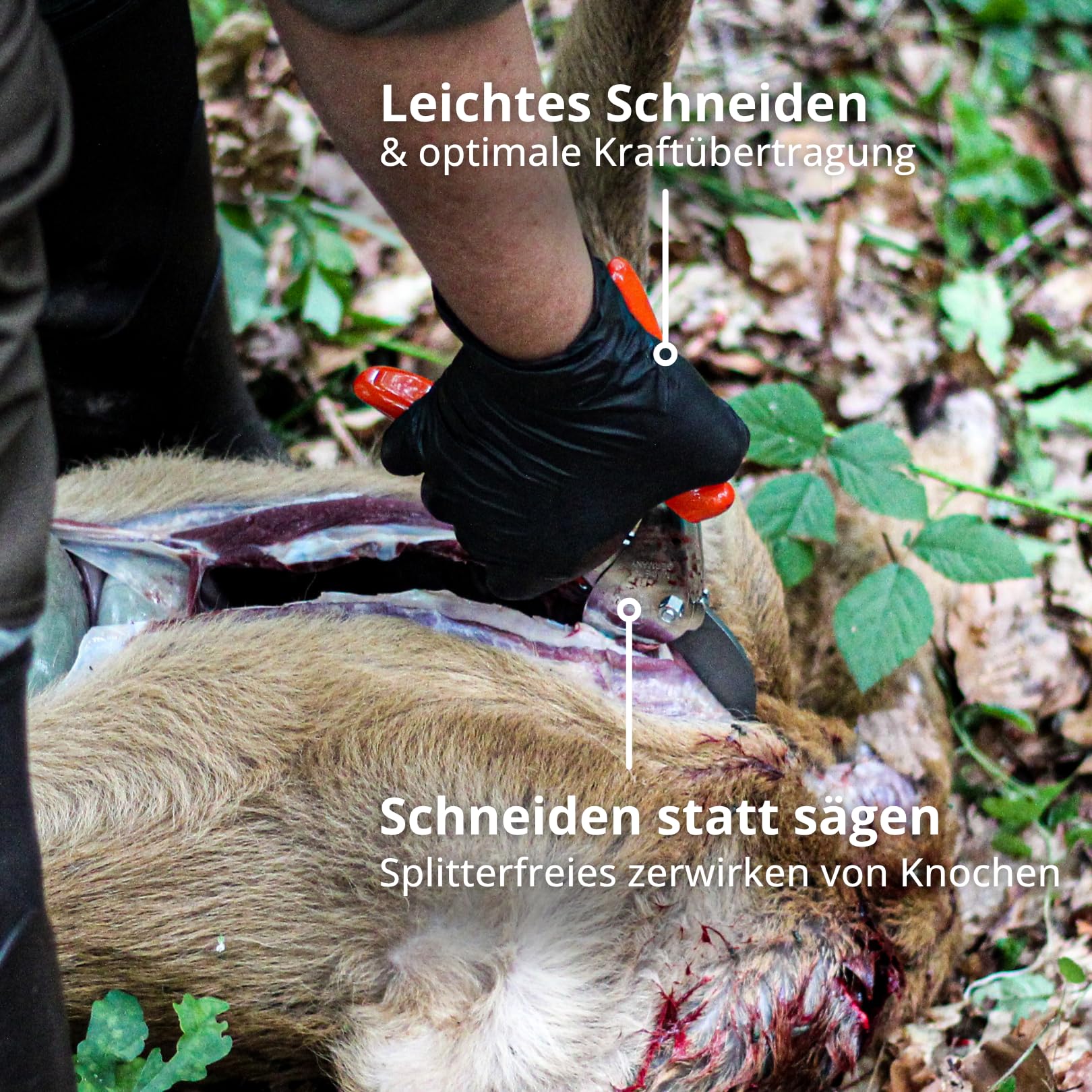 original-l-we-1-jagdschere-1-117-amboss-schere-21-cm-classic image 7