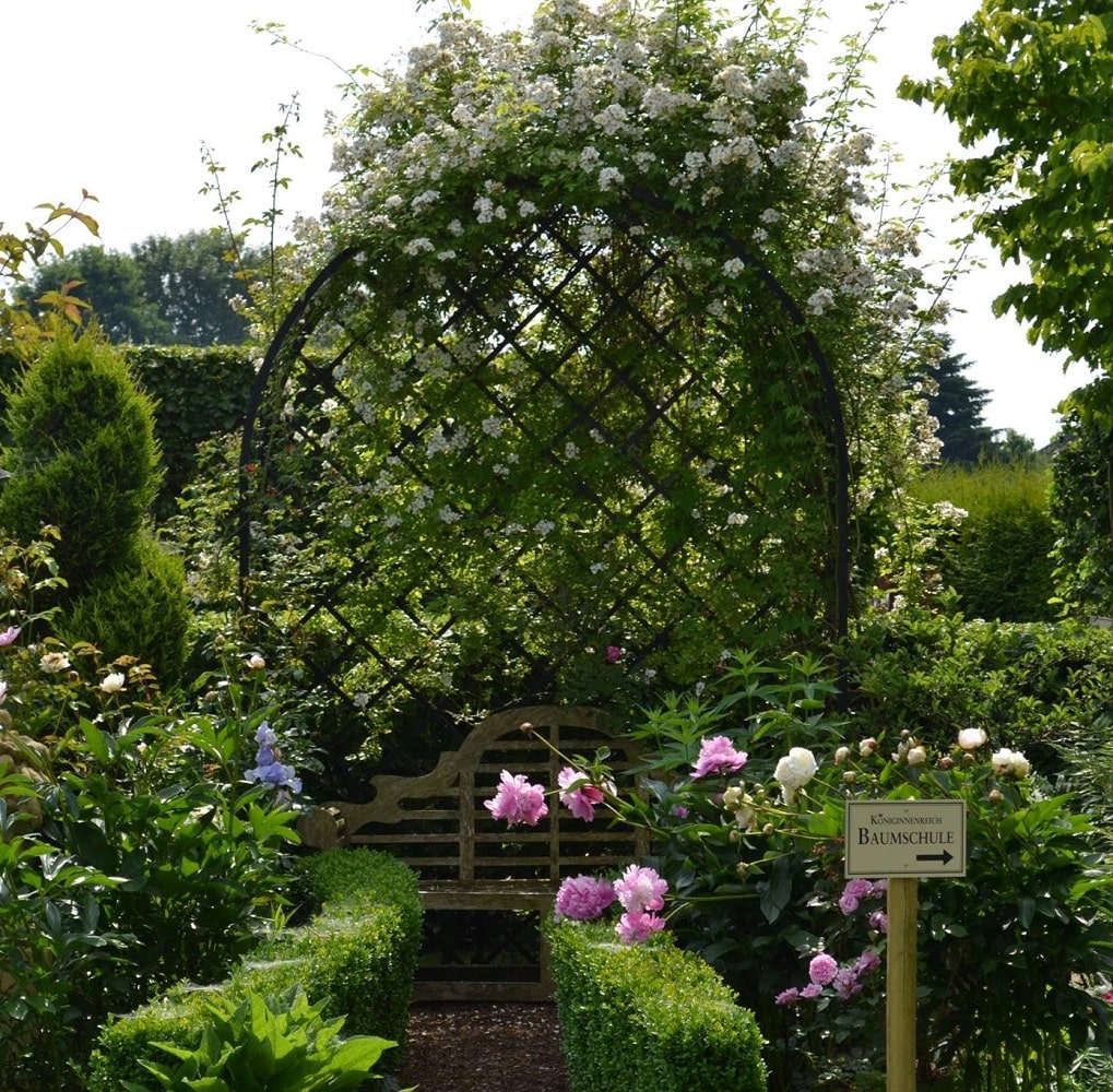 classic-garden-elements-villandry-rosenlaube-metall-280-cm-schwarz image 5