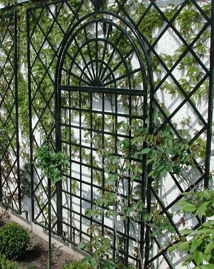 classic-garden-elements-treillage-rankgitter-schwarz image 1