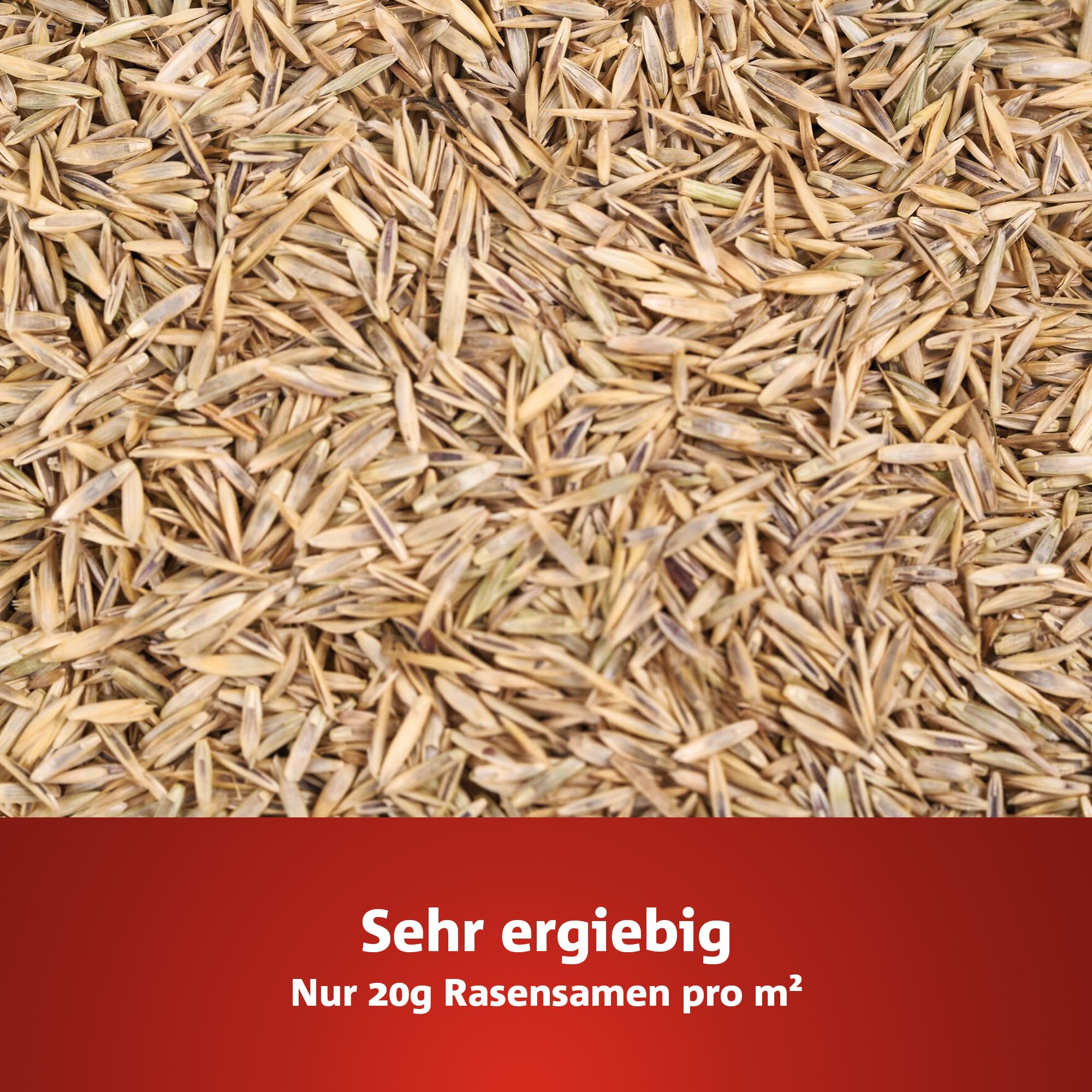 wolf-garten-natura-bio-sportrasen-lg-250-rasensamen-5-kg image 6