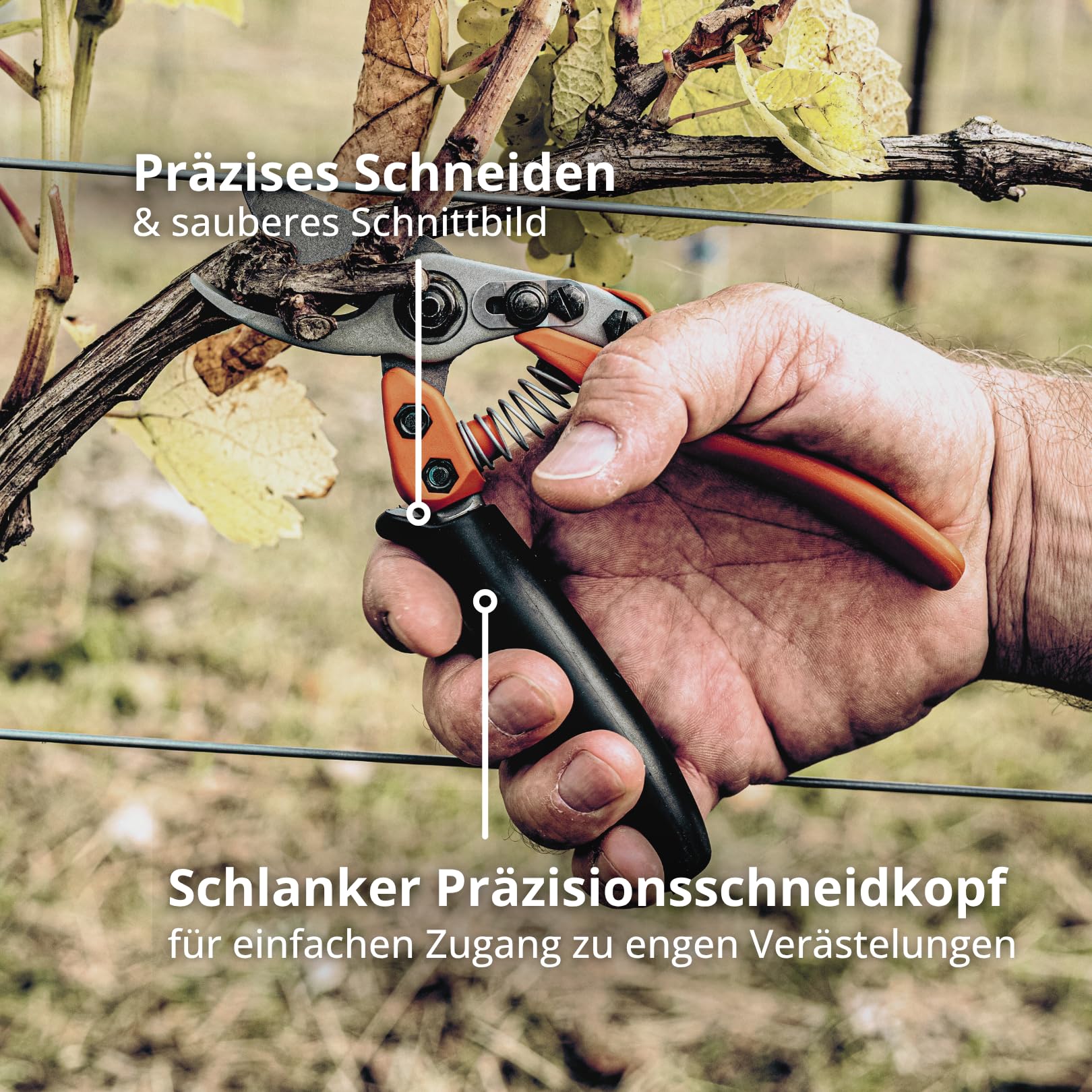 original-l-we-12-bypass-gartenschere-12-109-f-r-rosen image 6