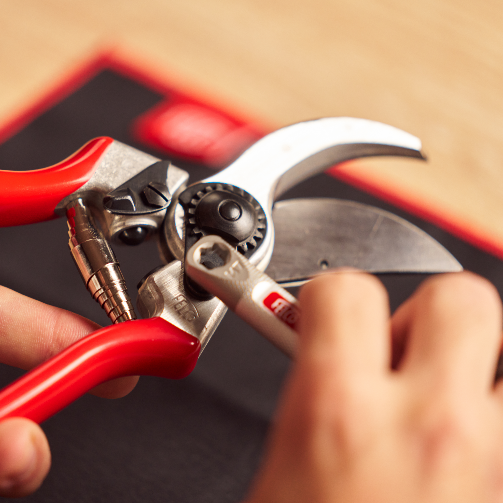 felco-atelier-bausatz-gartenschere-felco-2-einhand-rechts image 4