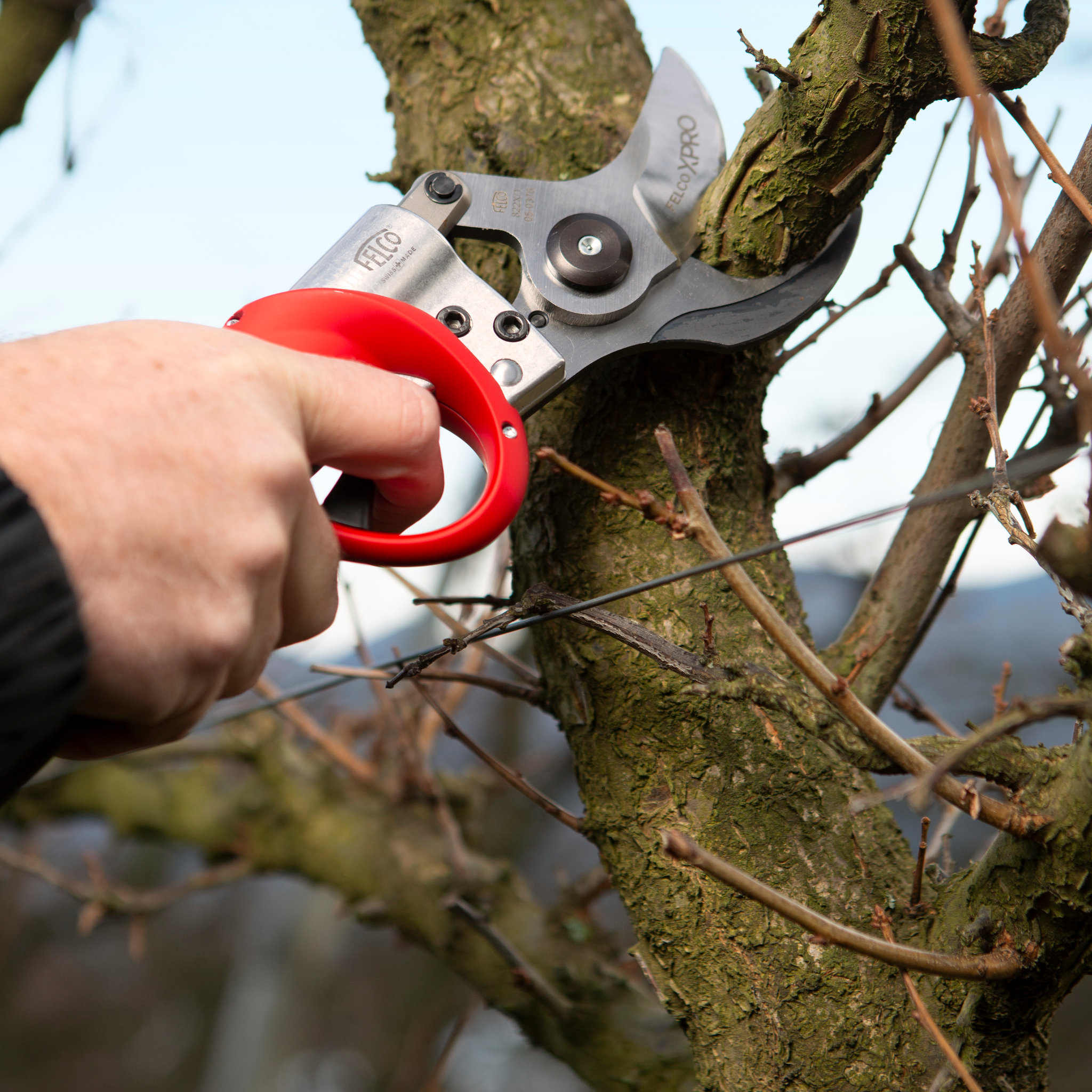 felco-822-elektroschere-akku-gartenschere-45mm-power-tool image 5