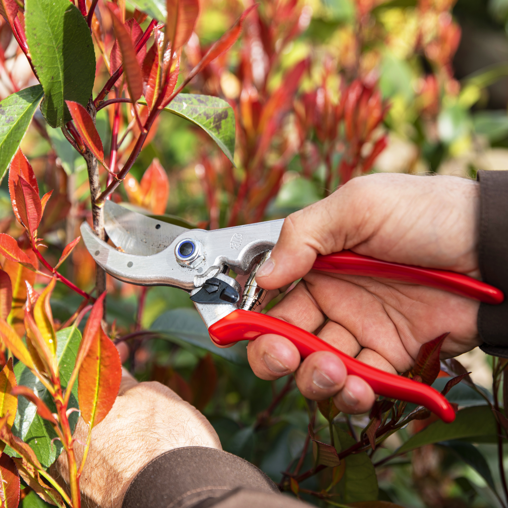 felco-4-gartenschere-einhand-f-r-gro-e-h-nde-25-mm image 4