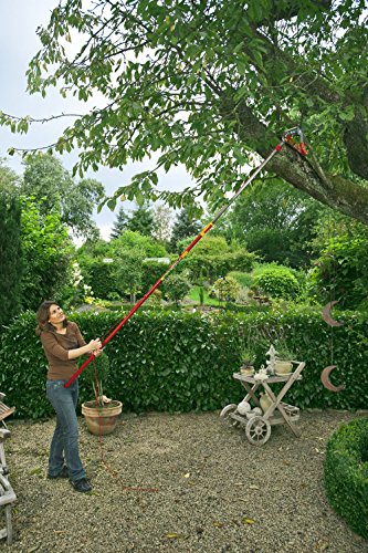 wolf-garten-multi-star-rc-vm-baumschere-amboss-40-mm image 4