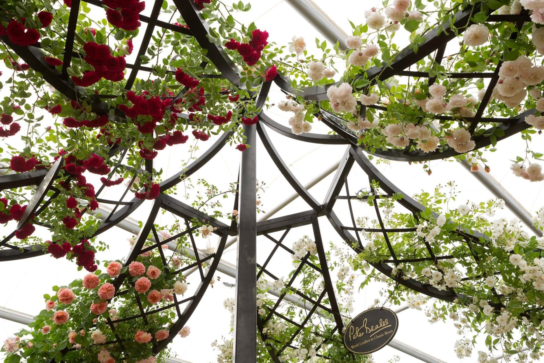 classic-garden-elements-pavillon-lyme-park-metall-580-cm image 2
