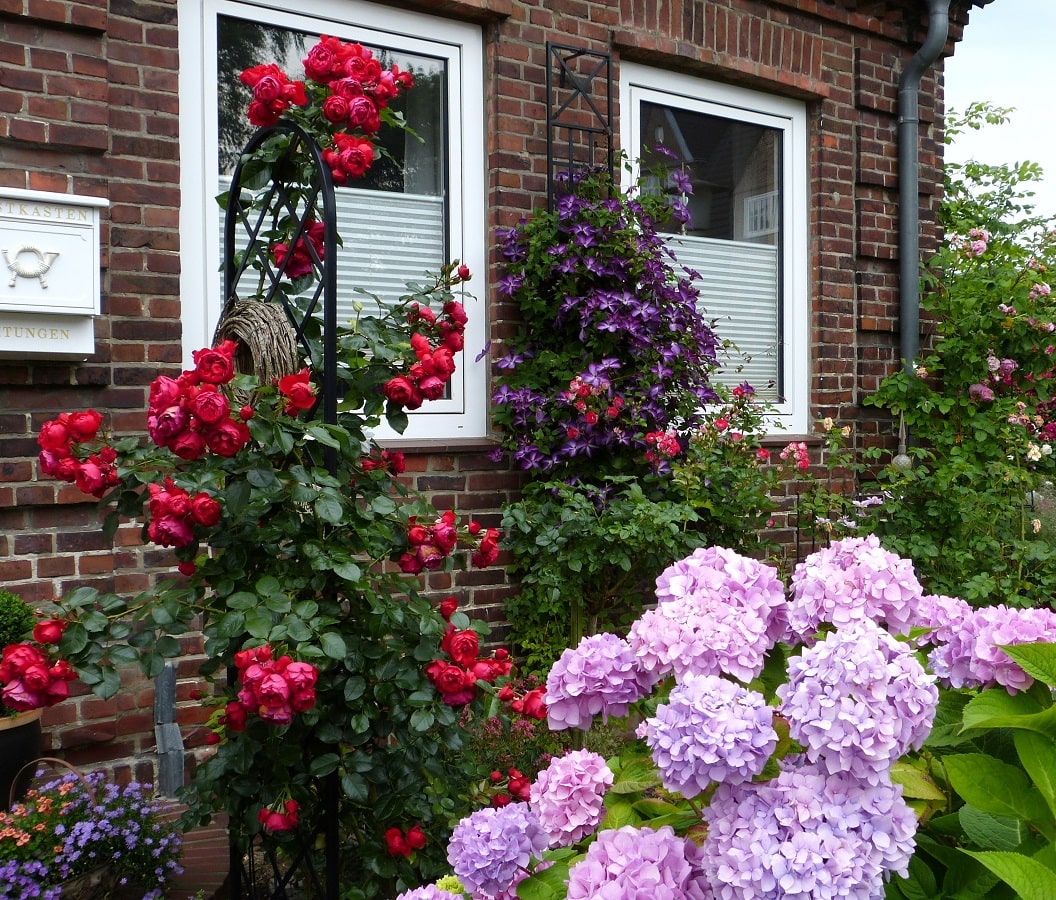 classic-garden-elements-beekman-rankhilfe-freistehend-schwarz-198-cm image 4