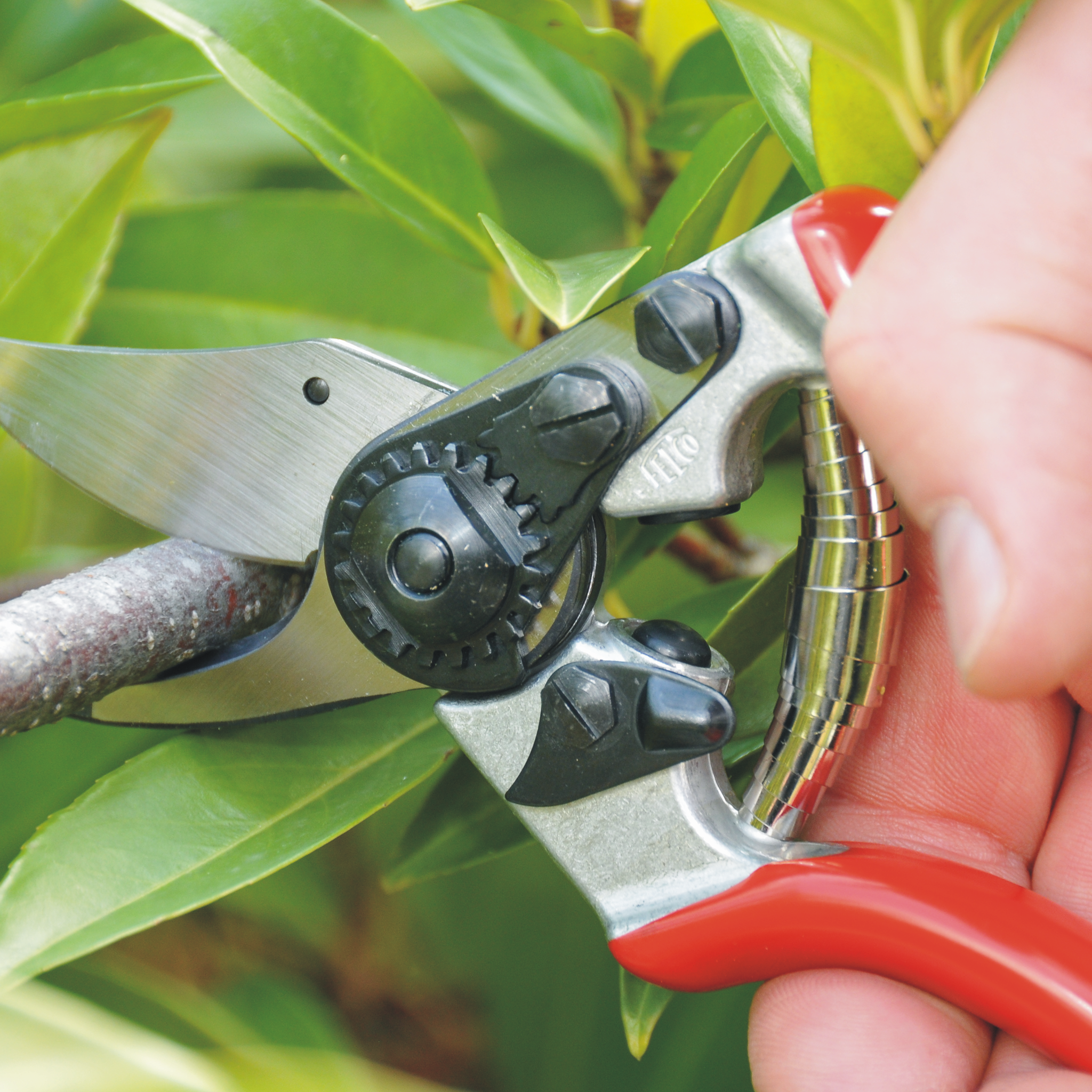 felco-6-einhand-gartenschere-bypass-mittelgro-e-h-nde image 4