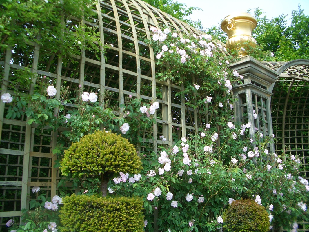 classic-garden-elements-louis-xiv-treillage-laubengang-versaillesgr-n image 6