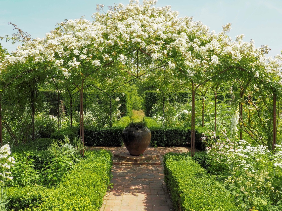classic-garden-elements-sissinghurst-pavillon-metall-5x5-m image 5