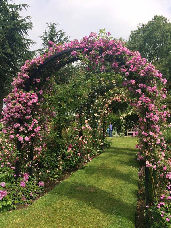 classic-garden-elements-portofino-rosenbogen-metall-152-cm image 7