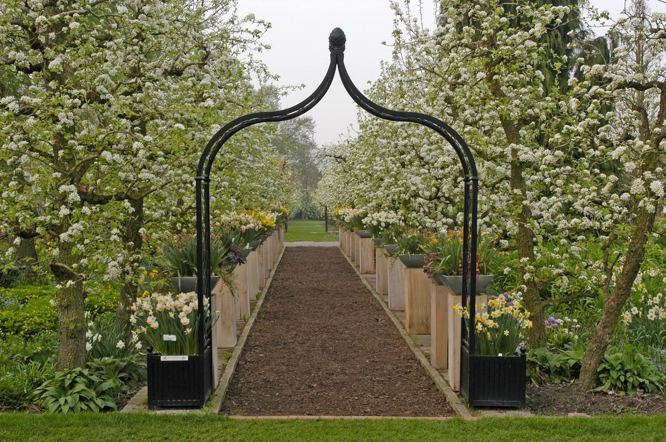 classic-garden-elements-brighton-rosenbogen-mit-versailler-k-beln image 5