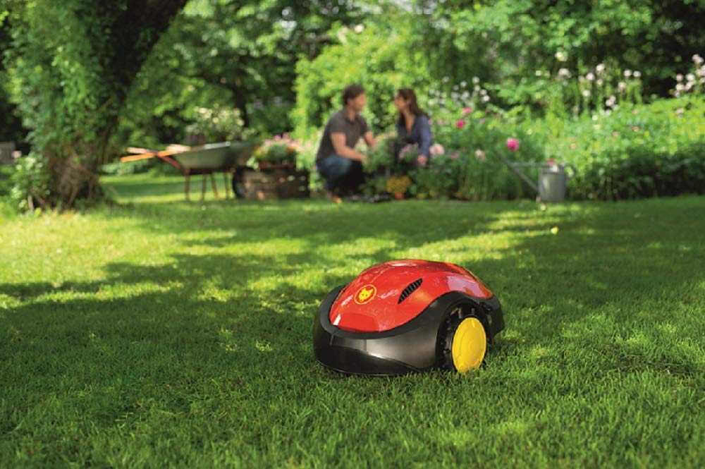 wolf-garten-ro-sa-100-robo-spezial-rasensamen-100-m-m-hroboter image 3