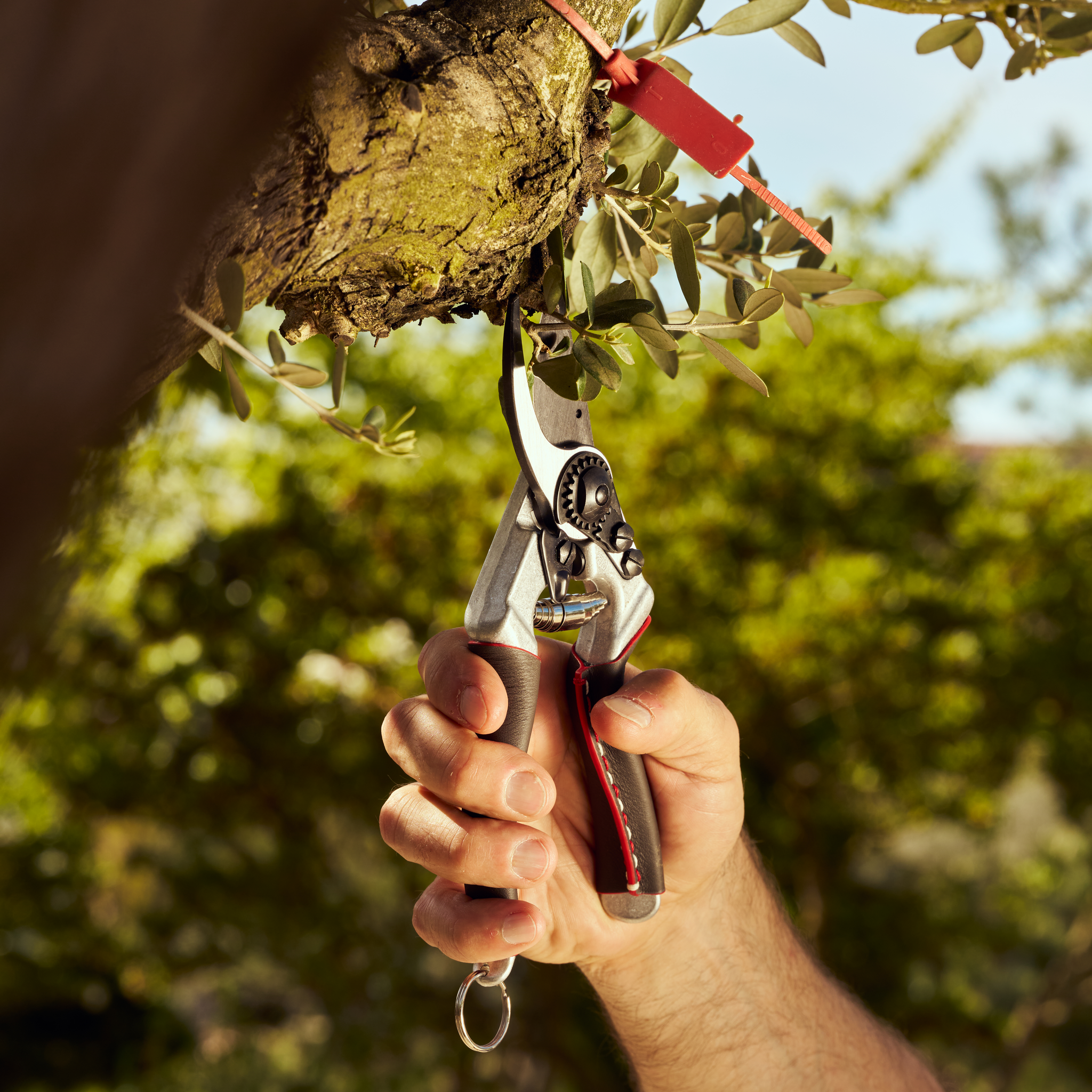 felco-8-elite-gartenschere-einhand-ledergriffe image 5