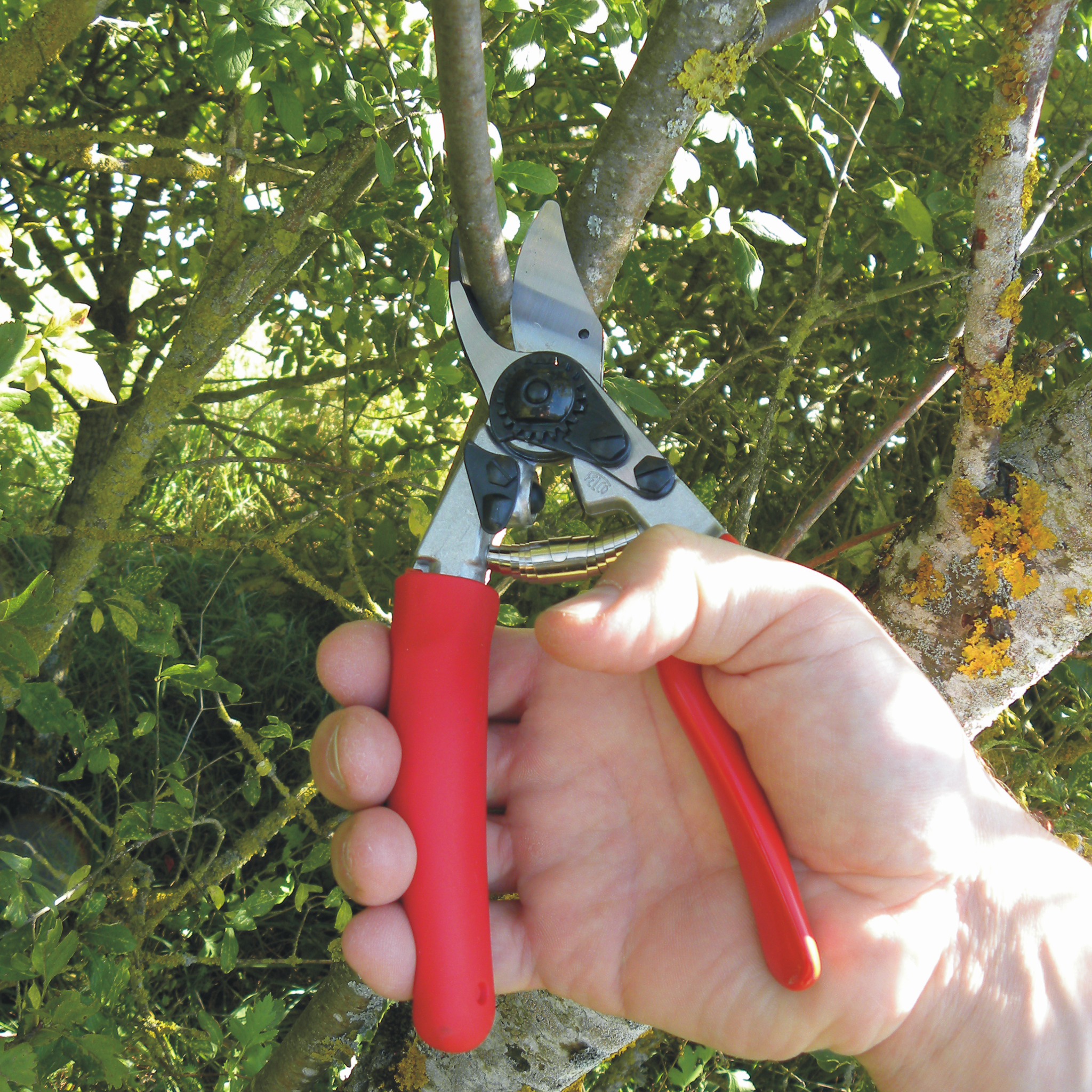 felco-12-einhand-gartenschere-rechts-mit-drehgriff image 4