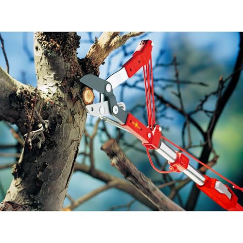 wolf-garten-multi-star-rc-m-baumschere-amboss-38-mm image 7