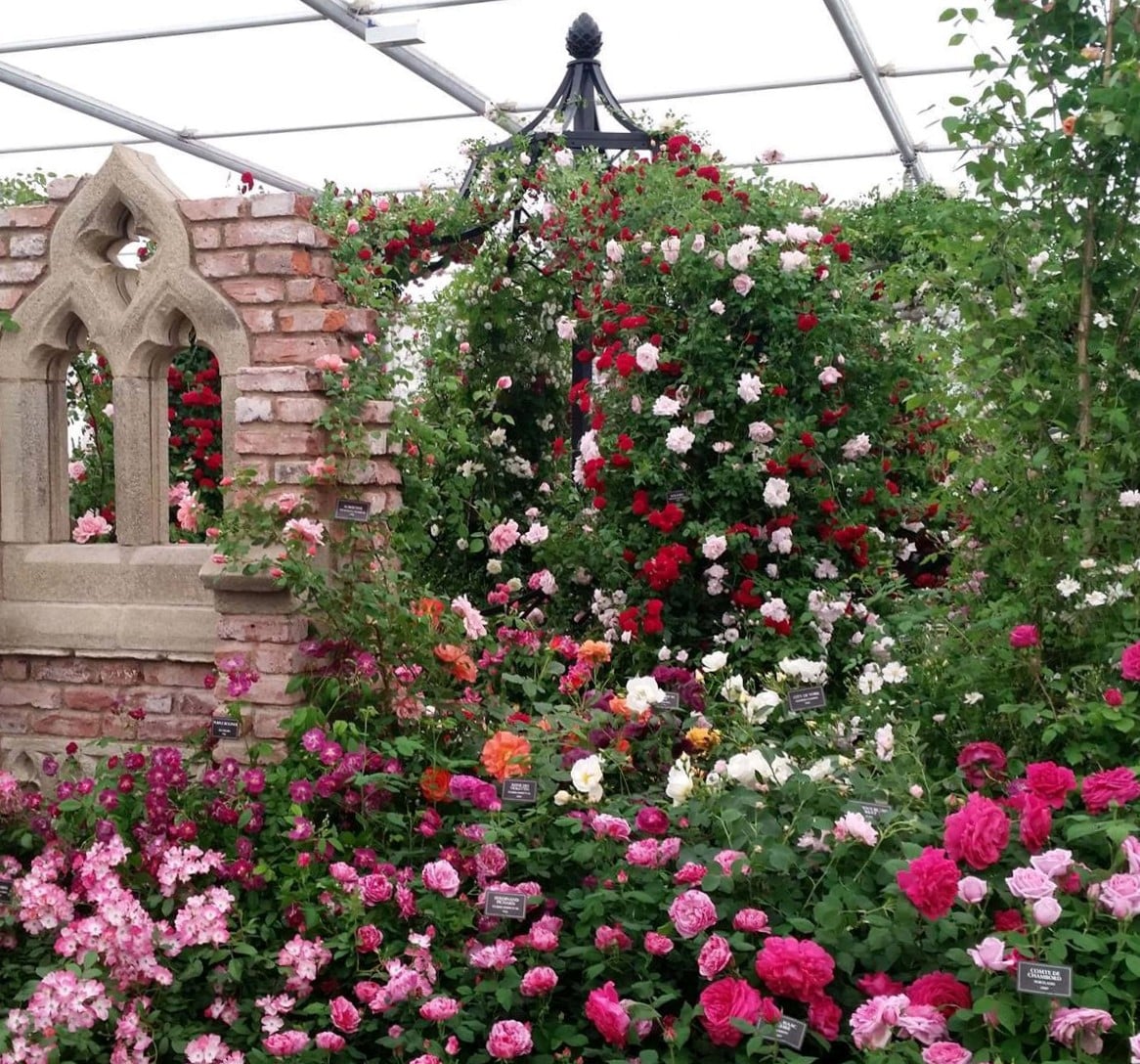 classic-garden-elements-pavillon-lyme-park-metall-580-cm image 7