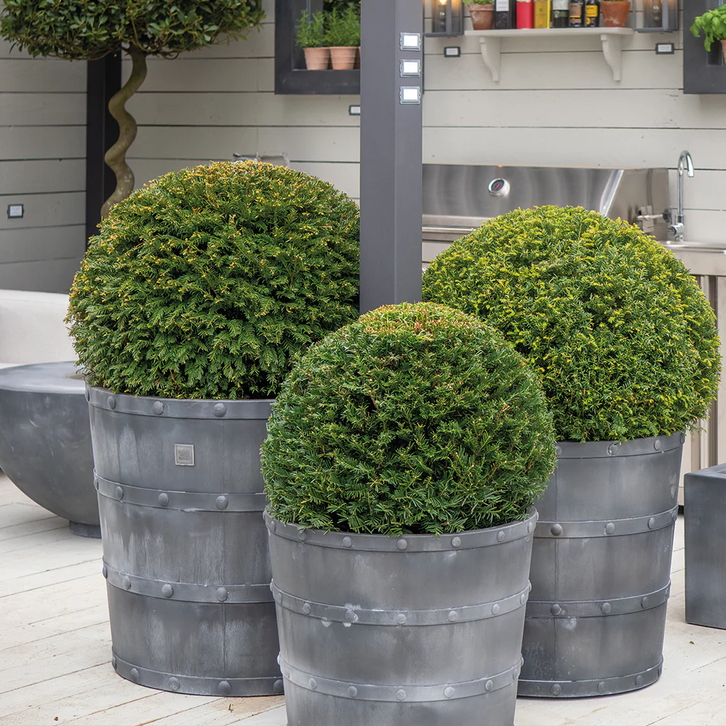 classic-garden-elements-porto-pflanzk-bel-rund-zink-70-cm image 1