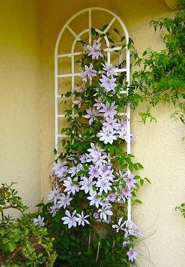 classic-garden-elements-clematis-spalier-wei-173-cm-ral-9016 image 1