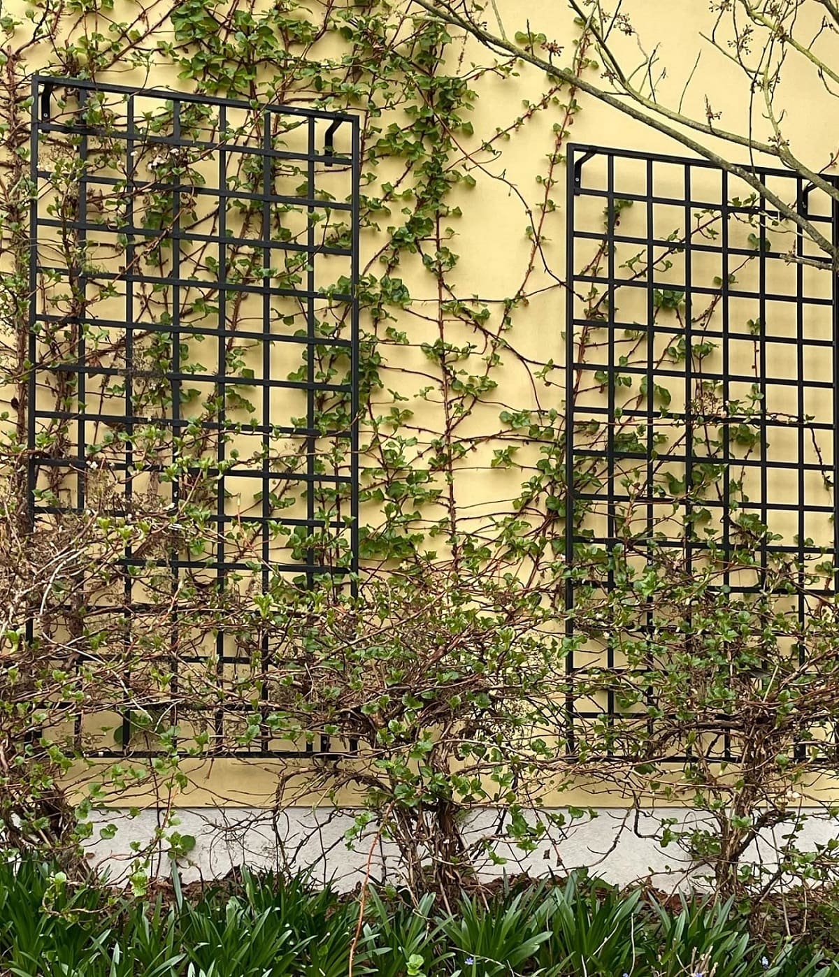 classic-garden-elements-bauhaus-rankgitter-metall-schwarz image 8