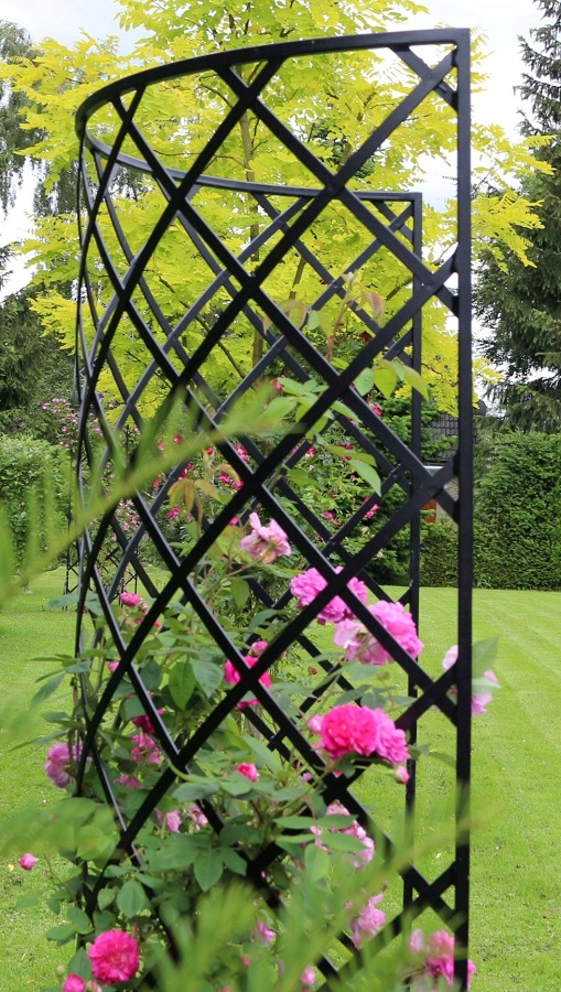 classic-garden-elements-exedra-rosengitter-halbrund-schwarz image 4