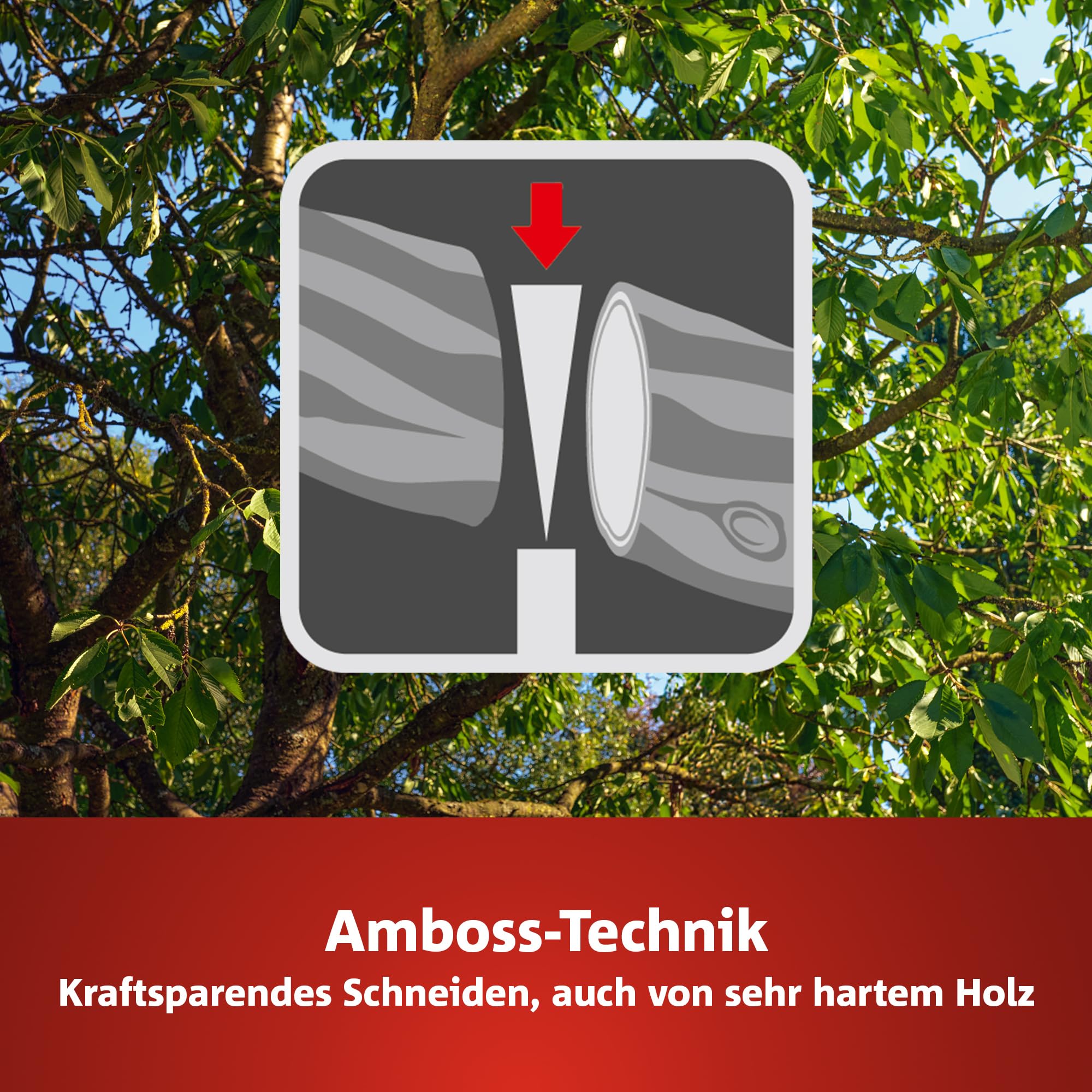 wolf-garten-rs-4000-amboss-gartenschere-premium-plus-25-mm image 5