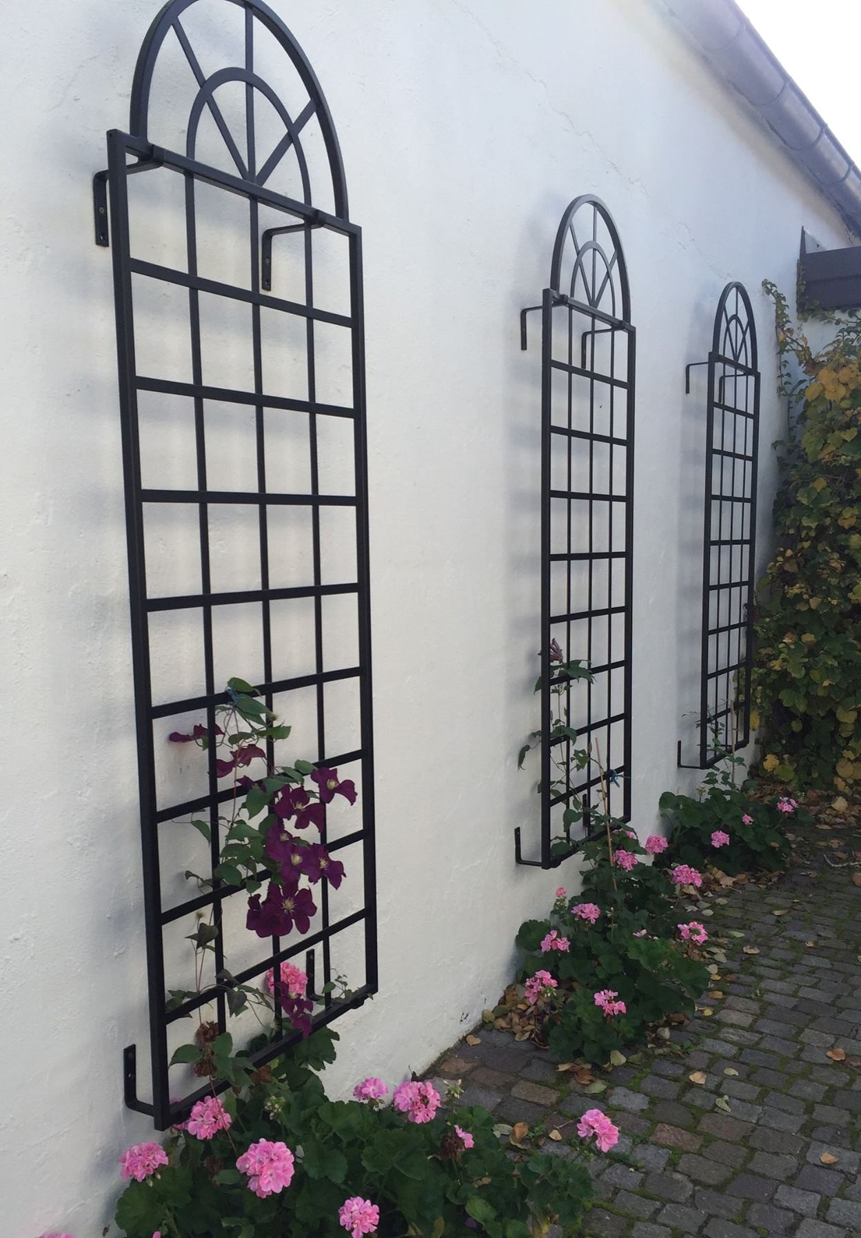 classic-garden-elements-orangerie-spalier-wandgitter-schwarz-metall image 8