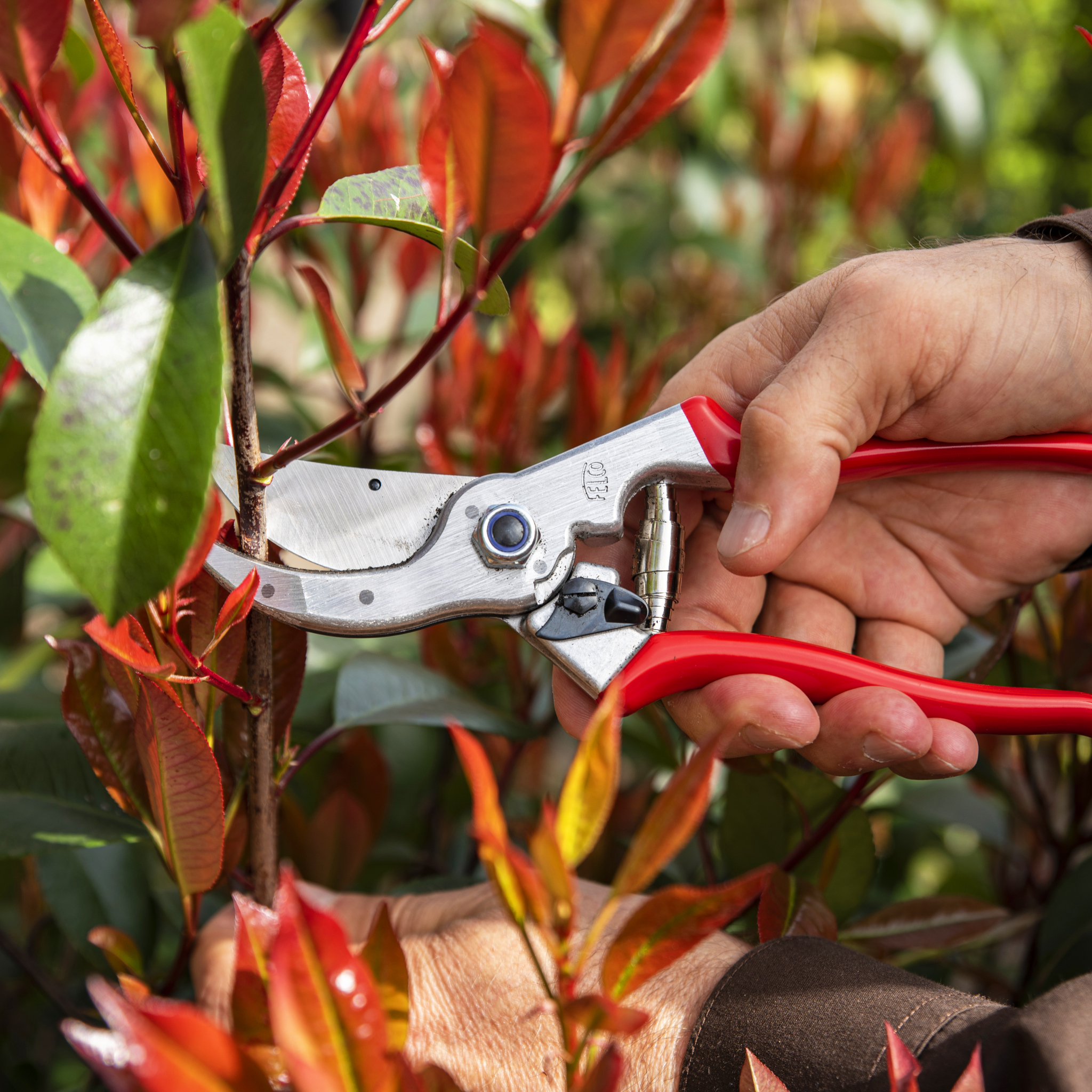 felco-4-gartenschere-einhand-f-r-gro-e-h-nde-25-mm image 2