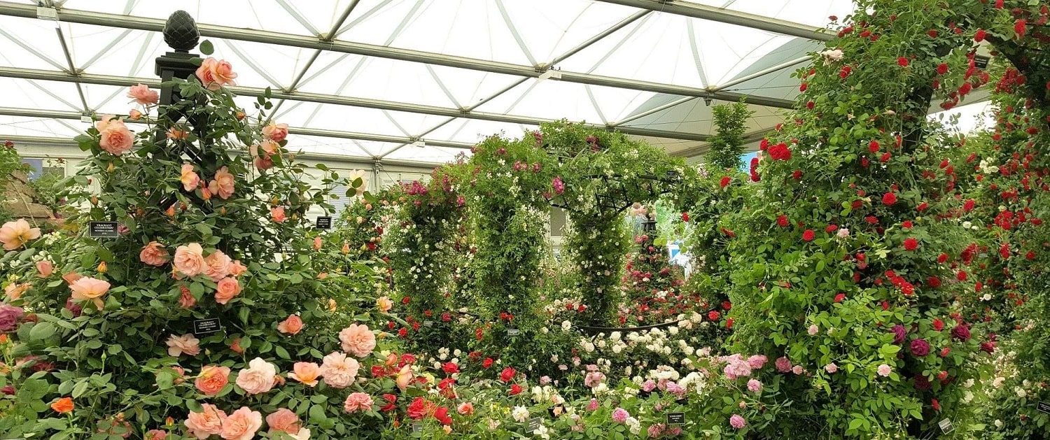 classic-garden-elements-buscot-park-hochzeitspavillon-metall-schwarz image 4