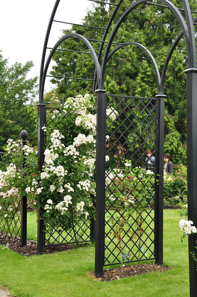 classic-garden-elements-speke-hall-hochzeitsbogen-metall-schwarz-350-cm image 2